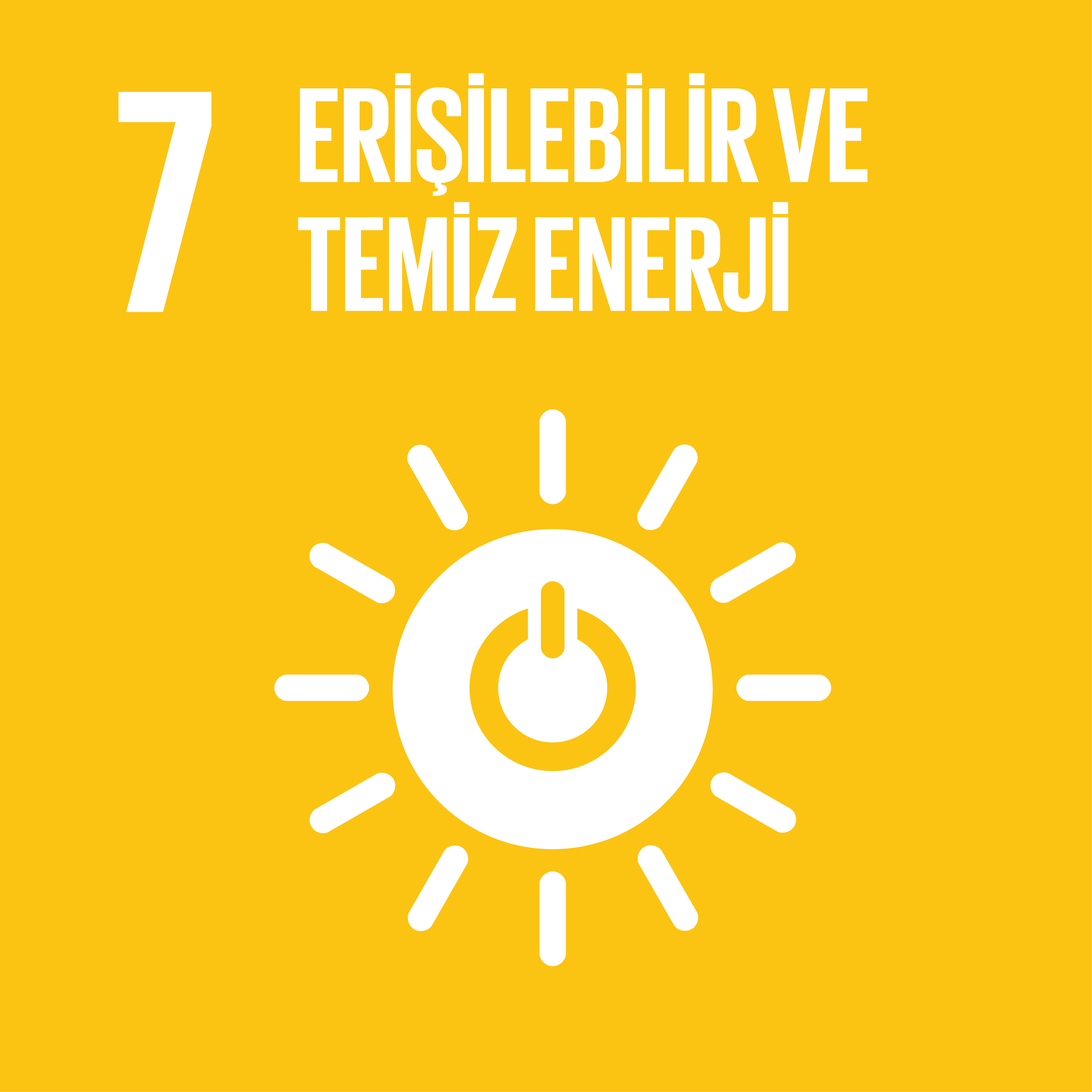 Erişilebilir ve Temiz Enerji 